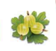 040344mn-3049-188x172.png