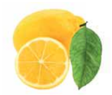 040344o1-fdcf-227x193.png