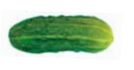 040344oj-2d67-196x103.png