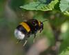 040345v2-ad9f-100x80.jpg