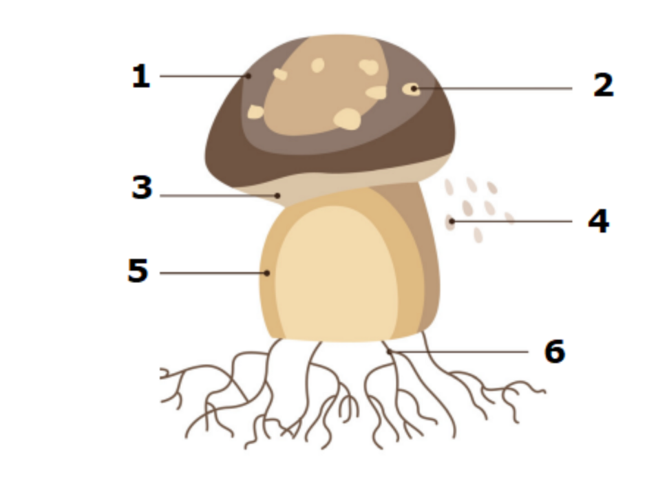 04034azo-62e8-940x693.png