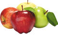 04034c86-3246-940x564.jpg