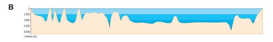 04034eiv-cbd5-940x146.png