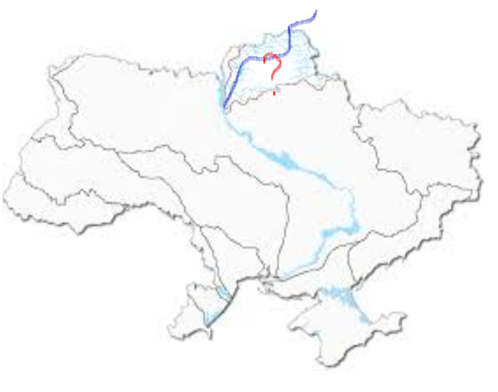 04034fko-b241-710x559.png