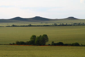 04034g87-8e80-298x203.jpg
