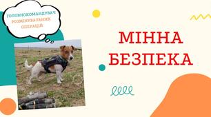 Виховна година "Мінна безпека"