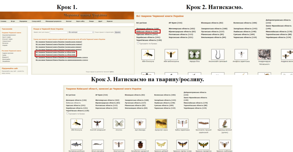 04034jt8-2d17-940x488.png