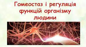 Регуляція функцій організму