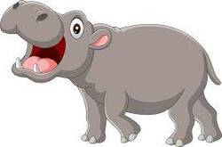 Hippo Vector Art, Icons, and Graphics for Free Download