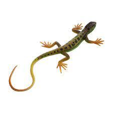 Amazon.com: NUOBESTY Lizard Figurine Fake Lizard Plastic Lizard Toy Action Figure Reptile Toy for Collection Science Educational Prop (Green) : Toys & Games