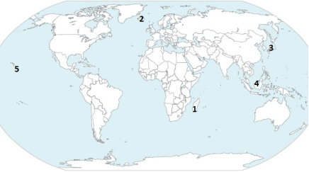 04034pg7-c004-436x243.png