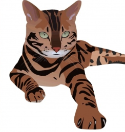 04034qvh-34fb-244x258.png