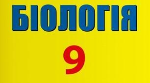 Контрольна робота за ІІ семестр для 9 б класу 