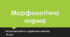 Морфологічна норма. Контрольна робота з української мови №5. 10 клас. ТЕСТ
