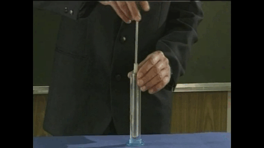 04034uxu-986f-544x306.gif