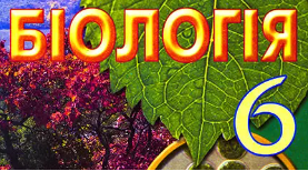 6 клас. Річна контрольна робота