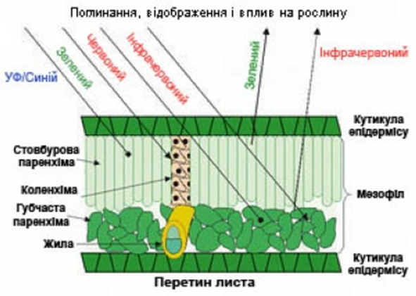 04034yyd-9b72-591x421.png
