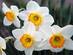 0403505e-e349-73x55.jpg