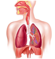 040351gx-6e9a-188x200.png