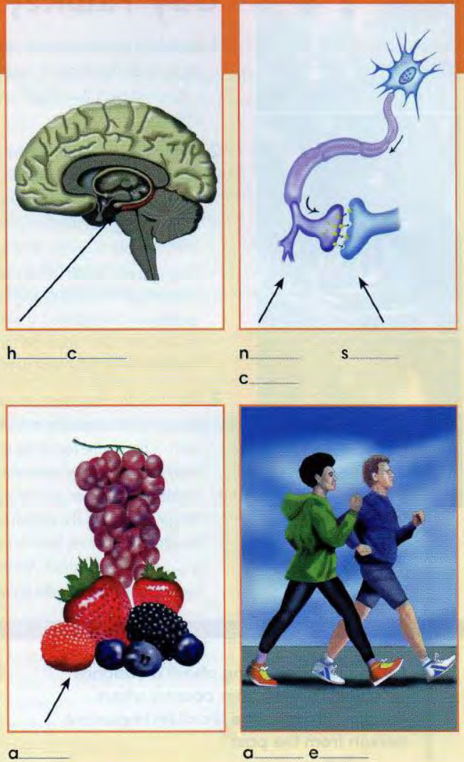0403544s-2325-651x1070.png