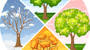 Seasons and Clothes