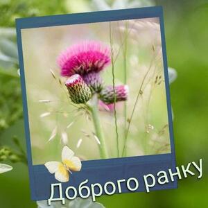 040357x0-ffea-300x300.jpg