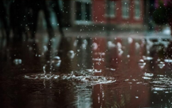 040359pt-d68b-242x152.png