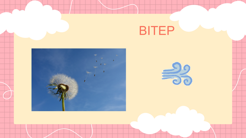 04035b0f-c4fb-940x529.png