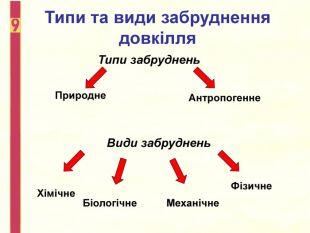 04035bn0-8629-310x233.jpg