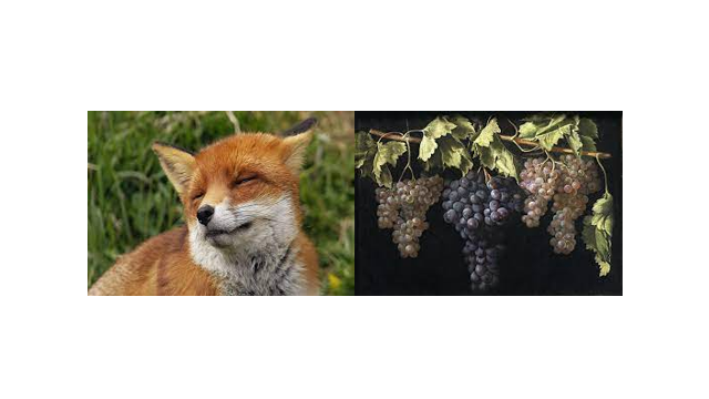 04035d4s-c2e1-640x360.png