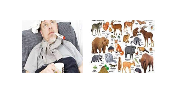 04035d5b-8677-640x360.png
