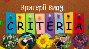 Контроль знань з теми "Сучасні критерії виду"