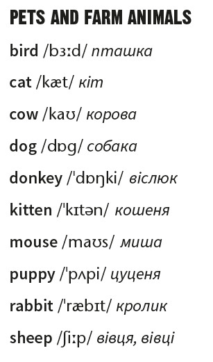 04035fcx-654d-307x521.png