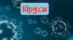 Біологічний диктант з теми "Віруси"