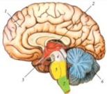 04035hc9-96b4-154x135.png