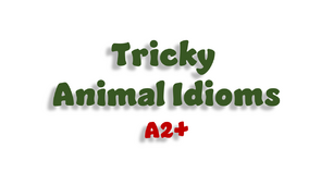Tricky Animal Idioms