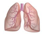 04035plh-58ab-154x126.png