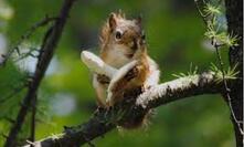 04035t1w-5646-221x133.jpg