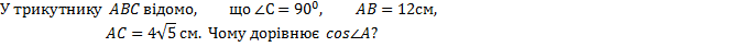 04035t4t-60f4-665x43.png