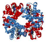 04035tdp-38df-156x140.png