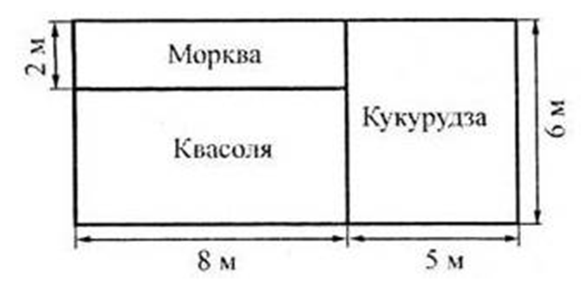 04035vc4-2207-833x416.png