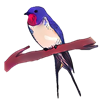 Рисунок92.png