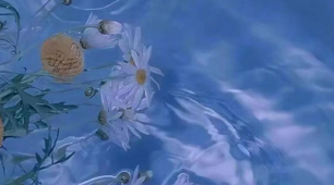 Test 3