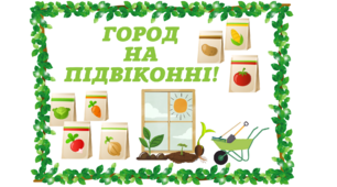Оформлення проєкту "Город на підвіконні "