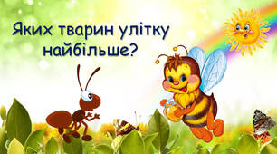 Яких тварин улітку найбільше?