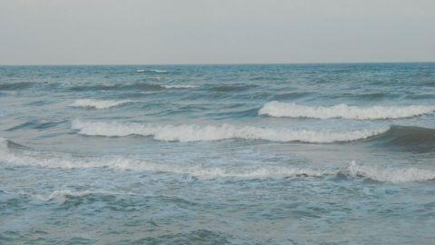 040362lb-f390-480x270.jpg