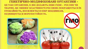 Презентація на тему «Корисна та шкідлива їжа»
