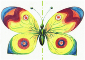 04036ecj-0f69-173x123.png