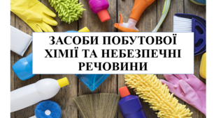 Презентація на тему "Засоби побутової хімії та небезпечні речовини" 6 кл НУШ