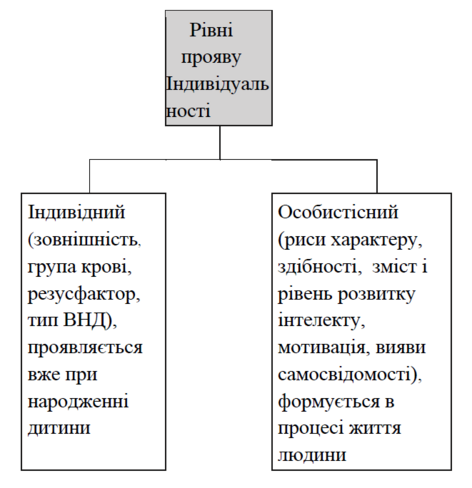 04036m7b-9047-472x488.png